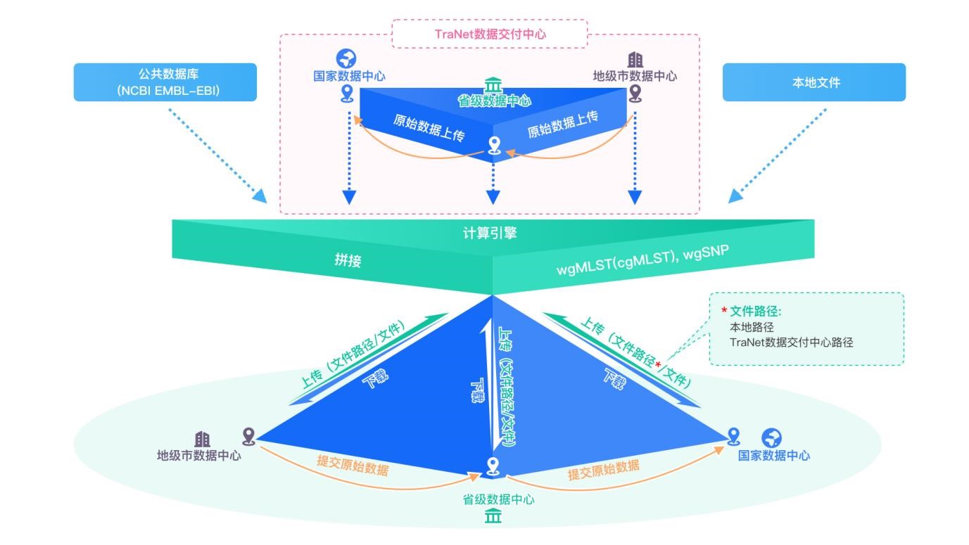 我国首个基于全基因组测序技术的新型食源性疾病分子溯源网络建成