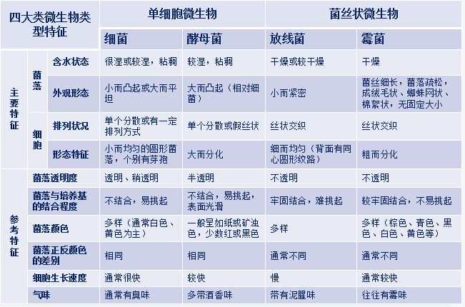 各种微生物菌落图