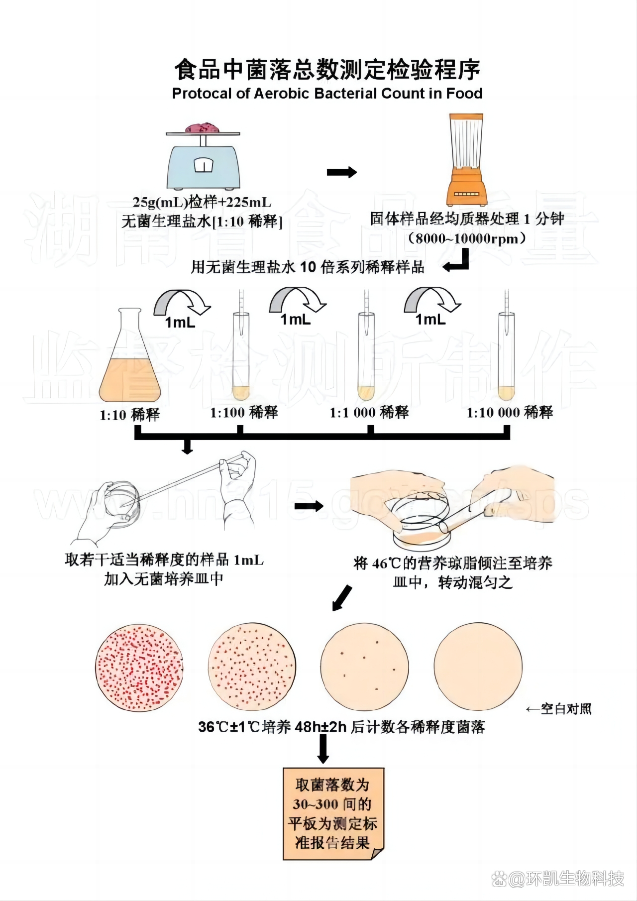 食品中常见的指示菌汇总